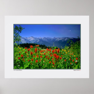 Poster Haute sierra fleurs sauvages de Nevada