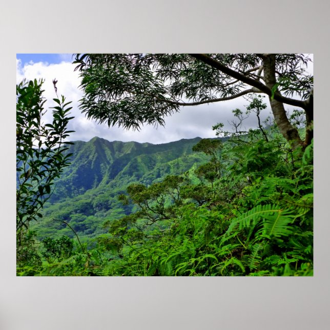 Poster Hawaï tropical (Devant)