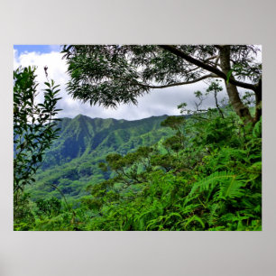 Poster Hawaï tropicale