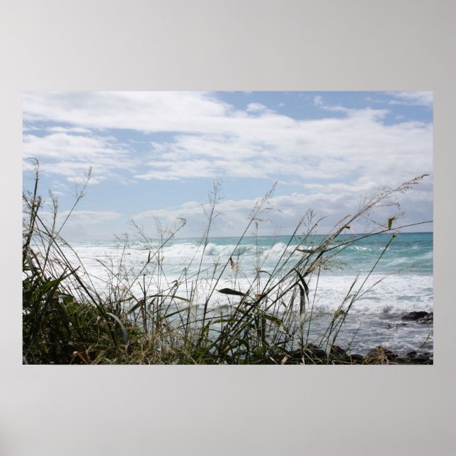 Poster Hawaiian Seascape (Devant)