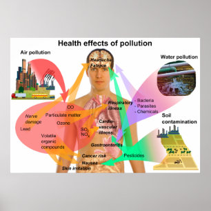 Poster Health Effects of Pollution on the Human Body