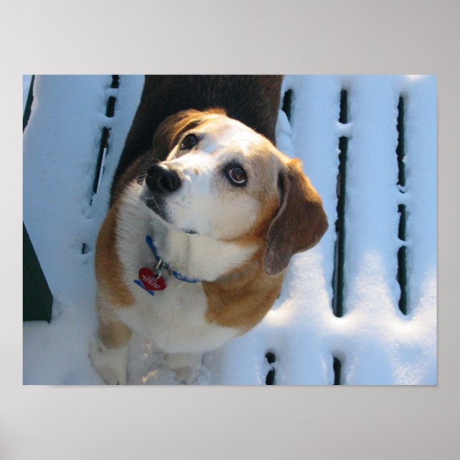 Poster Heaven Bound (Devant)