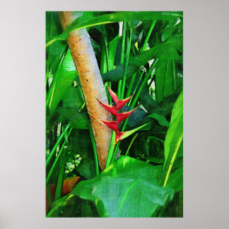 Poster Heliconia tropicale - Promenade dans le jardin