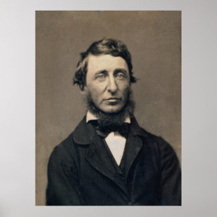 Poster Henry David Thoreau Portrait Maxham daguerréotype