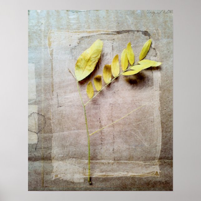 Poster Herbarium V (Devant)