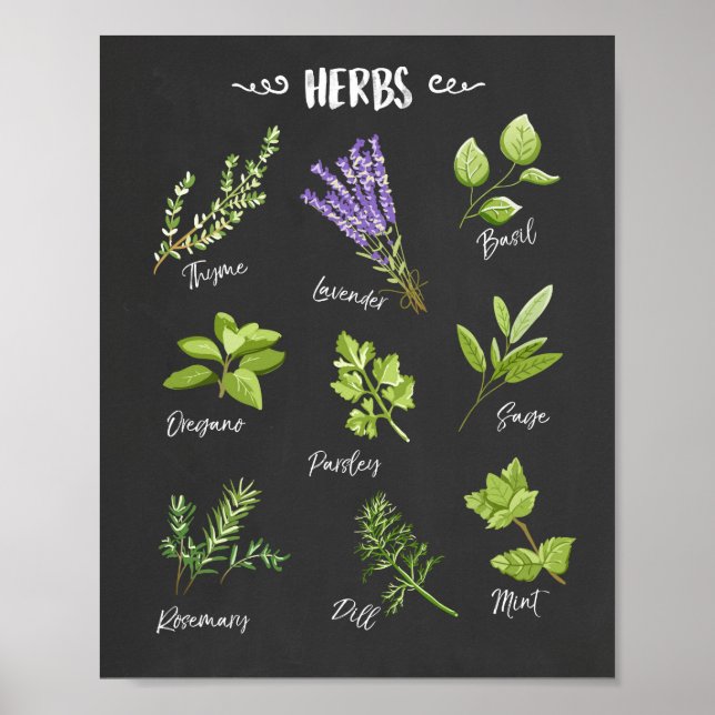 Poster Herbes d'art Herbes d'art Cuisine d'art Décor cuis (Devant)