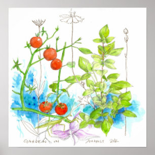Poster Herbes de Basil Tomate Aquarelle Jardin Fleurs