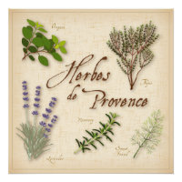 Affiche herbes aromatiques - Poster mural cuisine