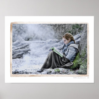 Poster Hermione 13