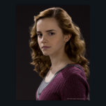 Poster Hermione Granger 4<br><div class="desc">Harry Potter and the Half Blood Prince</div>