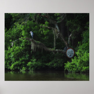 Poster Heron et Lazy River Imprimer