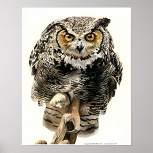 Poster Heure du déjeuner - grand hibou à cornes