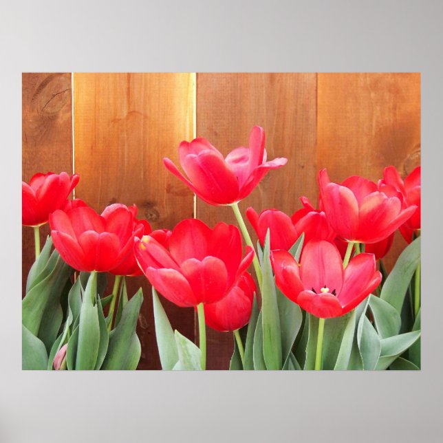 Poster Heure Tulip (Devant)