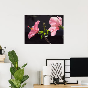 Poster Hibiscus rose en noir