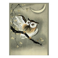 Hibou moyen-duc sur une branche d'arbre par Ohara 