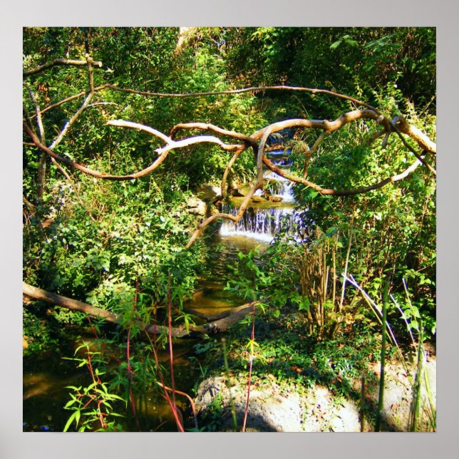 Poster Hidden Waterfall (Devant)