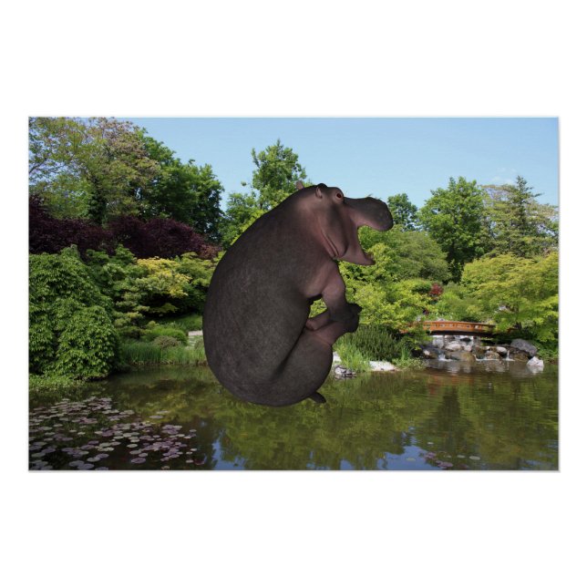 Poster Hippo de canonball (Devant)