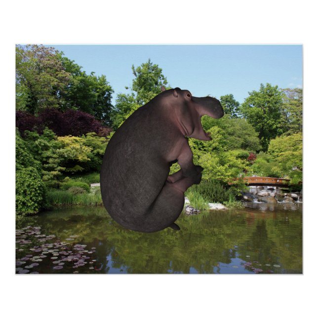 Poster Hippo de canonball (Devant)
