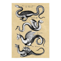 Histoire de la carte murale Dragons