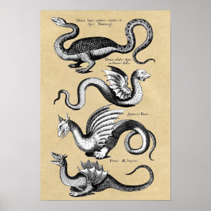 Poster Histoire de la carte murale Dragons