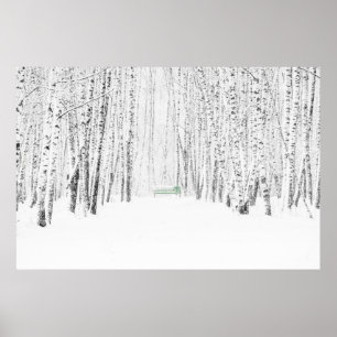 Poster Histoire de Noël blanche