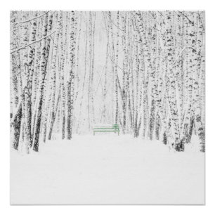 Poster Histoire de Noël blanche