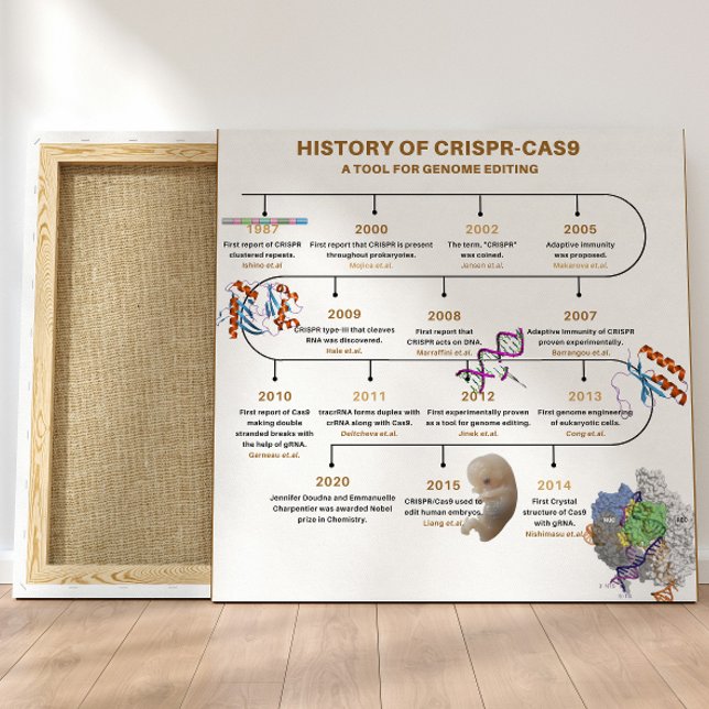 Poster Historique de l'édition du génome CRISPR (Créateur téléchargé)