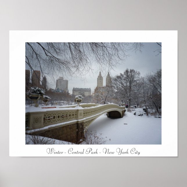 Poster Hiver - Central Park - New York City (Devant)