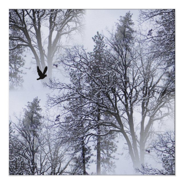 Poster Hiver Corbeau... (Devant)