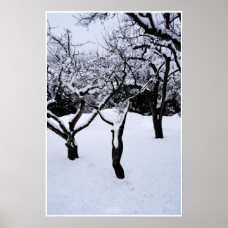 Poster Hivernland de Johannes Stötter