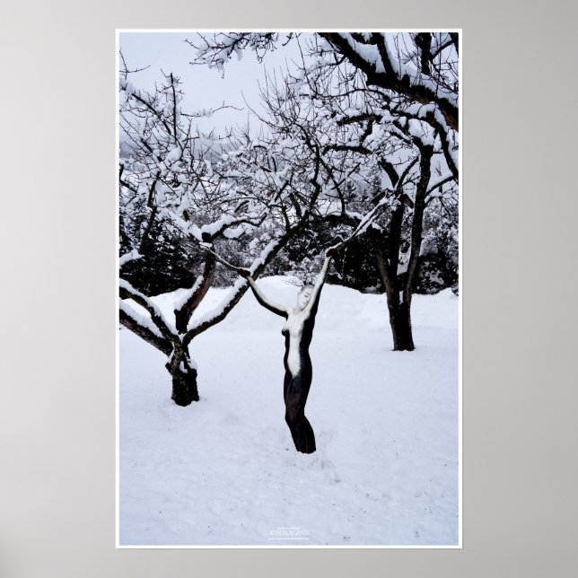 Poster Hivernland de Johannes Stötter (Devant)