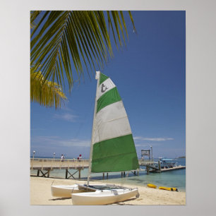Poster Hobie Cat, Plantation Island