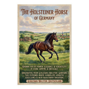 Poster Holsteiner