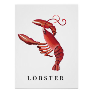 Poster Homard