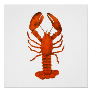 Poster Homard rouge