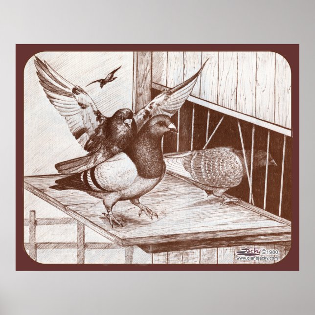 Poster Homecoming Homecoming Homes (Devant)