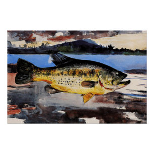 Poster Homer - Basse, poisson, art,