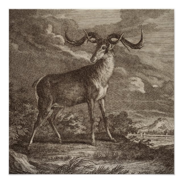 Poster Homme et jeune Cerf rouge (Devant)