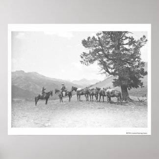 Poster Hommes avec des chevaux-paquets qui regardent au-d