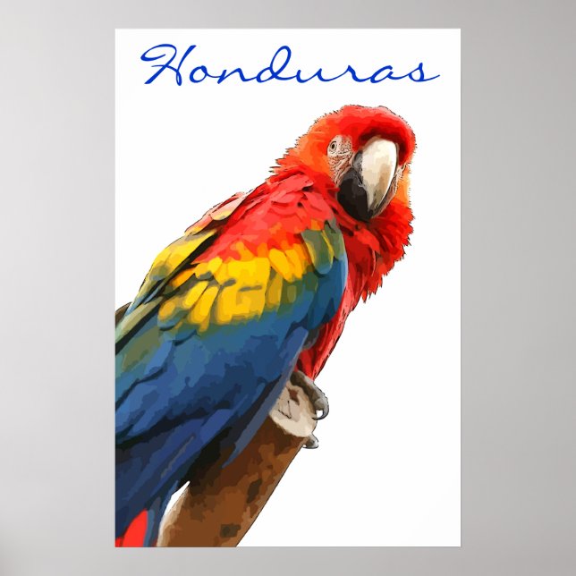 Poster Honduras Scarlet Macaw (Devant)