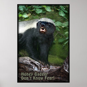 Poster Honey Badger V2 -40x60 -autres tailles auss