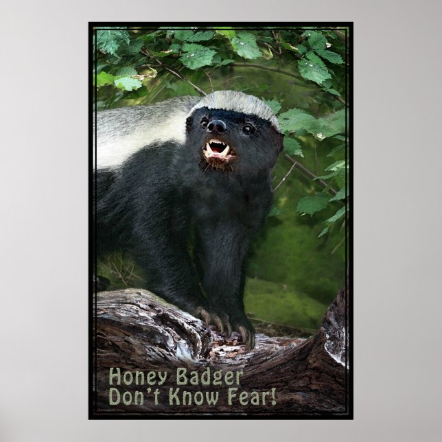 Poster Honey Badger V2 -40x60 -autres tailles auss (Devant)