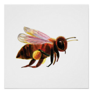 Poster Honey Bee Flying