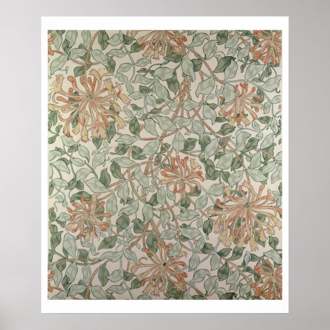 Poster Honeysuckle II (Devant)