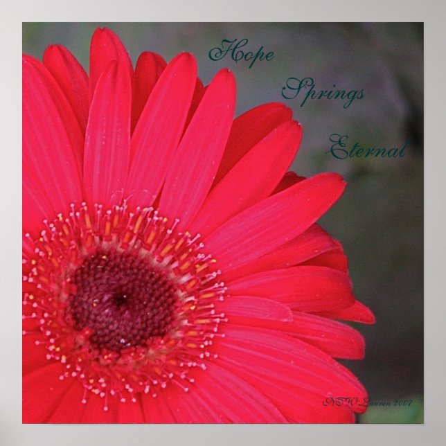 Poster Hope Springs Eternal... (Devant)