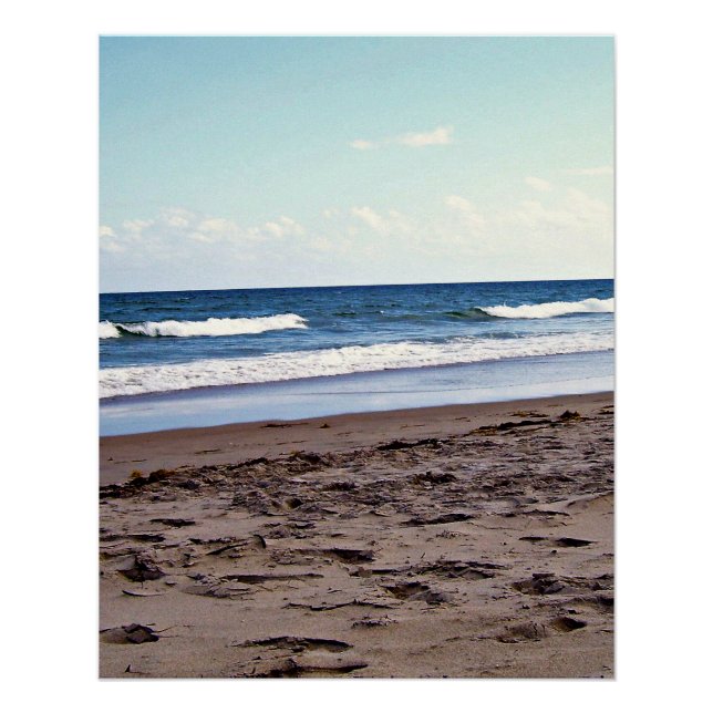 Poster Horizon du rivage tropical de Floride (Devant)