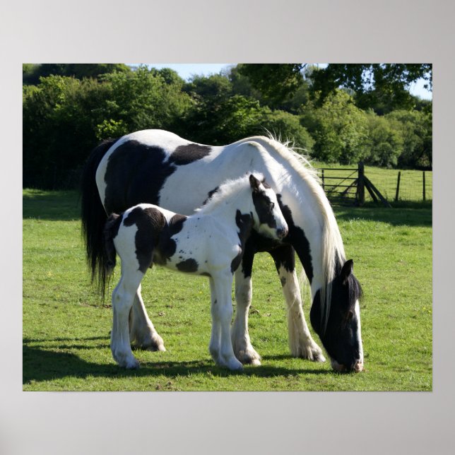 Poster Horses (Devant)