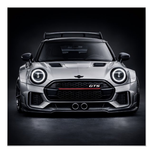 Poster https://www.zazzle.com/performance_hatchback_front (Devant)