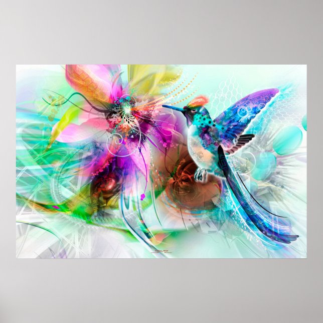 Poster Hummingbird (Devant)