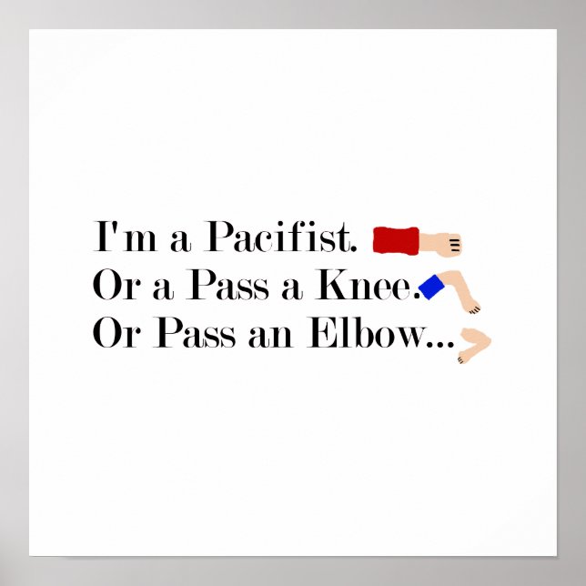 Poster Humour pacifiste mixed martial art (Devant)